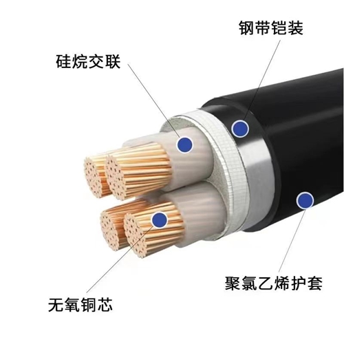 www.bubvn.cn